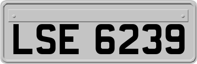 LSE6239