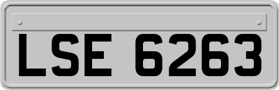 LSE6263