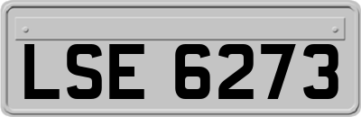LSE6273