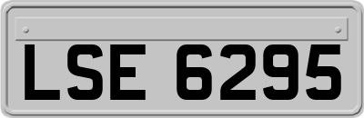 LSE6295
