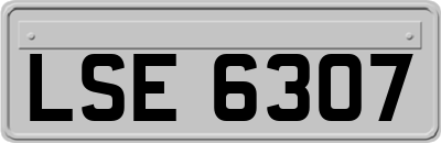 LSE6307