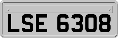 LSE6308