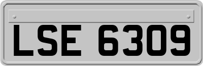 LSE6309