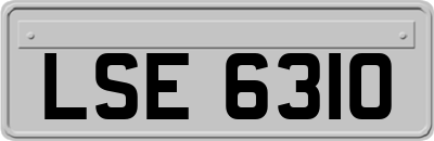 LSE6310