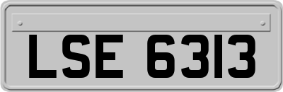 LSE6313