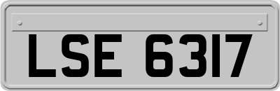 LSE6317
