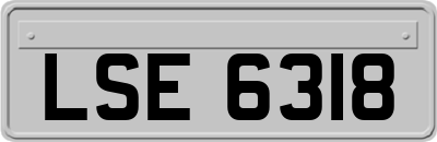 LSE6318