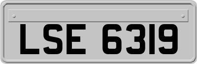 LSE6319