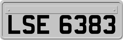LSE6383