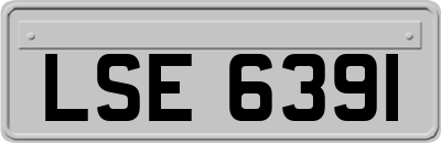 LSE6391
