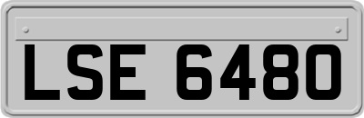 LSE6480