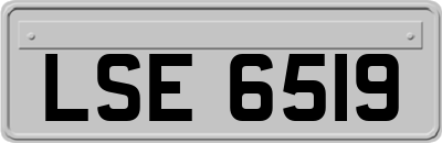 LSE6519