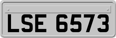 LSE6573