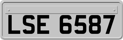 LSE6587