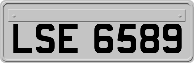 LSE6589