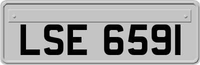 LSE6591