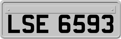 LSE6593