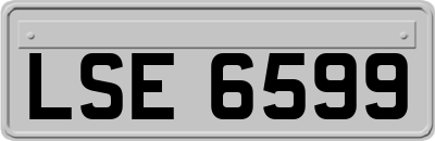 LSE6599