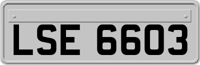 LSE6603