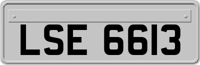 LSE6613