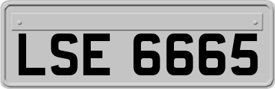LSE6665