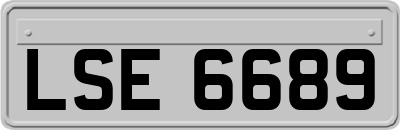 LSE6689