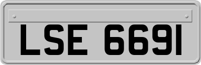 LSE6691