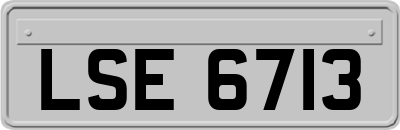 LSE6713
