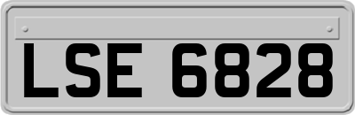 LSE6828