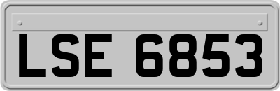 LSE6853