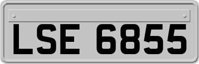 LSE6855