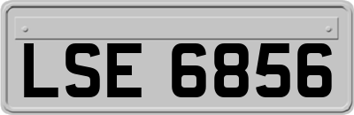 LSE6856