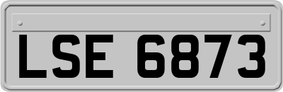 LSE6873