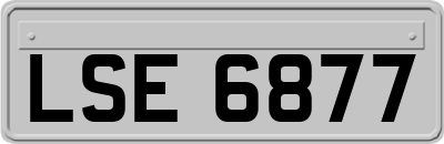 LSE6877