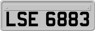 LSE6883
