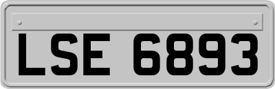 LSE6893
