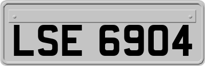 LSE6904