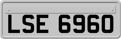 LSE6960