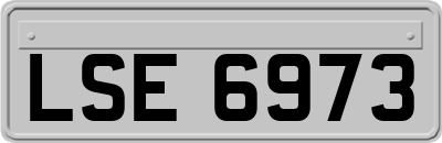 LSE6973