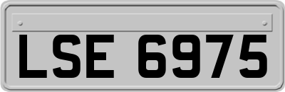 LSE6975