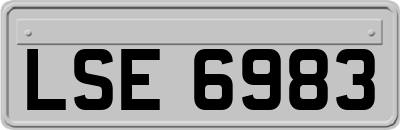 LSE6983