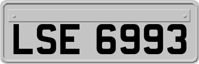 LSE6993