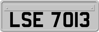 LSE7013
