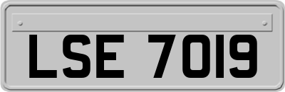 LSE7019