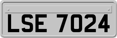 LSE7024