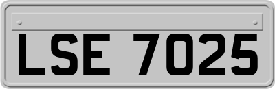 LSE7025