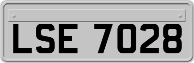 LSE7028