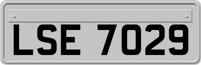 LSE7029