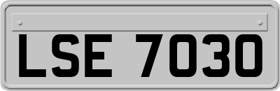 LSE7030