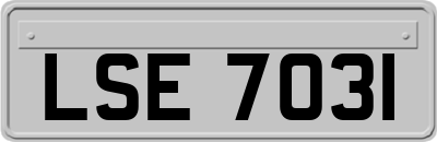 LSE7031